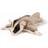 Bon Ton Toys WWF Plush Flying Squirrel Beige 18 cm