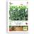 Buzzy® Organic Sage Seeds