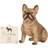 Something Different French Bull Dog Ornament Figurine