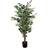 Leaf Variagated Tall Artificial Plant