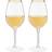 Twine Gilded Gold Rimmed Clear Stemmed Wine Glass