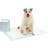 Amazon Basics Leak-Proof Quick-Dry Dog and Puppy Pee Pads X-Large 25pcs