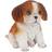 Design Toscano Red & White Cavalier King Charles Puppy Partner Collectible Dog