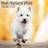 Highland White Terrier Calendar 2024