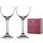 Diamante Home Coupes Crystal Glasses Cocktail Glass 15cl 2pcs
