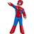 Rubies Spider-Man Deluxe Toddler Costume