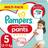 Pampers Premium Protection Nappy Pant Size 5 12-17kg 132pcs