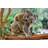 Union Rustic Mother Koala with Baby on her Back Multicolour Wall Decor 122x81cm