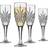 Godinger Dublin Crystal Champagne Glass 17.7cl 4pcs