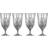 Lyngby Glas Melodia Beer Glass 40cl 4pcs