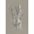 Union Rustic Chalk Birch Study II Grey Framed Art 20x30cm