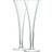 LSA International Bar Hollow Stem Champagne Glass 20.1cl 2pcs