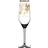 Carolina Gynning Gold Edition Slice Of Life Champagne Glass 30cl
