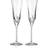 Waterford Lismore Essence Champagne Glass 23.7cl 2pcs