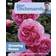 Alan Titchmarsh How to Garden: Growing Roses (Paperback, 2011)