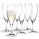 Holmegaard Perfection Champagne Glass 23cl 6pcs