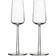 Iittala Essence Champagne Glass 21cl 2pcs