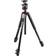 Manfrotto MK055XPRO3 + MHXPRO-BHQ2