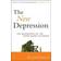 The New Depression: The Breakdown of the Paper Money Economy (Hardcover, 2012)