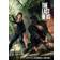 The Art of the Last of Us (Hardcover, 2013)