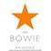 On Bowie (Paperback, 2016)