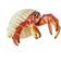Safari Hermit Crab XL 267529