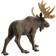 Safari Moose 290029