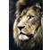 Trefl Lions Portrait