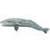 Safari Grey Whale 210402