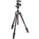 Manfrotto Befree Advanced GT + MH496-BH