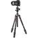 Manfrotto Befree Advanced GT + MH496-BH