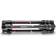 Manfrotto Befree GT XPRO Carbon Fiber + Ball Head