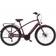 Electra Townie Path Go! 10D Step-Over 2020 Men's Bike