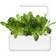 Click and Grow Smart Garden Mibuna Refill 3 pack