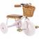 Banwood Trike with Basket