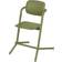Cybex Lemo Chair Outback Green