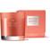 Molton Brown Gingerlily Three Wick Candle 480G Scented Candle 480g