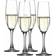 Spiegelau Authentis Champagne Glass 19cl 4pcs