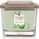 Yankee Candle Cactus Flower & Agav Medium Scented Candle 347g