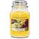 Yankee Candle Starfruit Large Scented Candle 623g