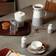Royal Doulton Coffee Studio Sugar/Milk Set Kitchenware 2pcs