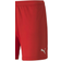 Puma teamGOAL 23 Knit Shorts Women - Red