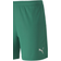 Puma teamGOAL 23 Knit Shorts Women - Pepper Green