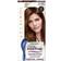 Clairol Permanent Root Touch-Up 4G Dark Golden Brown
