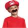 Disguise Mario Hat & Mustache