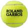Wilson Roland Garros All Court - 8 Balls