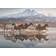 Schmidt Spiele Horses in Cappadocia 1000 Piece