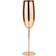 Paderno - Champagne Glass 27cl