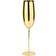 Paderno - Champagne Glass 27cl