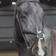 John Whitaker Ready To Ride Mexican Bridle